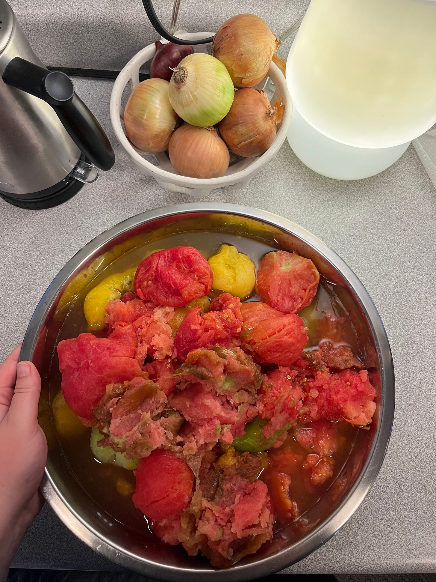 big metal bowl of peeled tomatoes