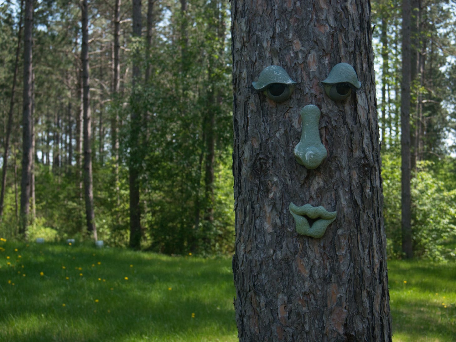 Decoration nailed to a tree, eyes, nose, and lips in a dark green. Background of trees. 