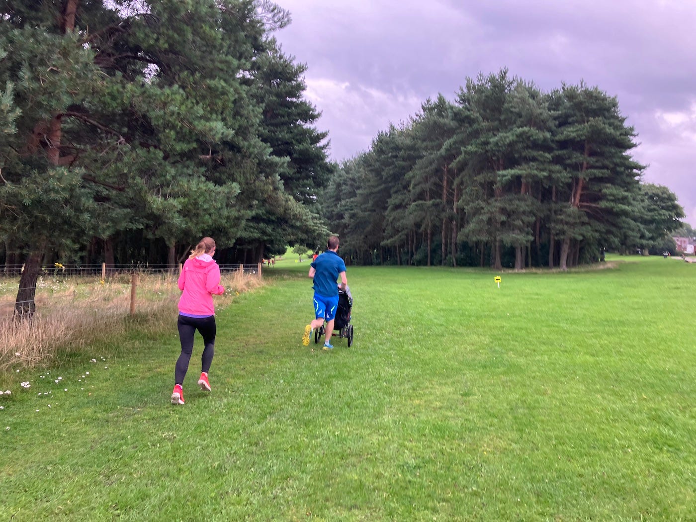 Well clipped grass on a downhill section past a clump of trees