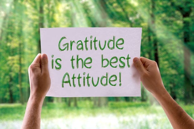 Gratitude is the Best Attitude card with nature background