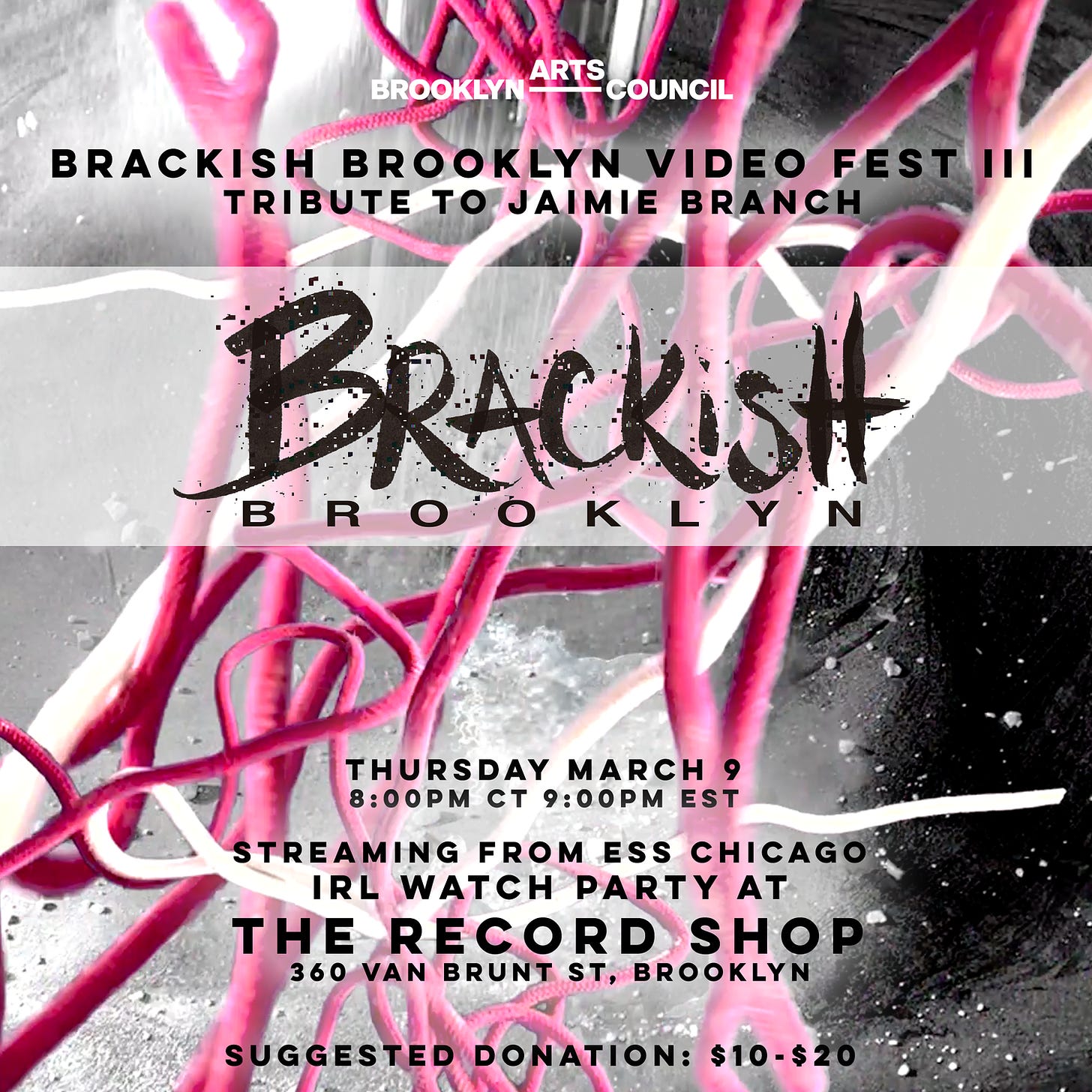 Brackish Brooklyn Video Fest III: A Tribute to Jaimie Branch — Brooklyn  Arts Council
