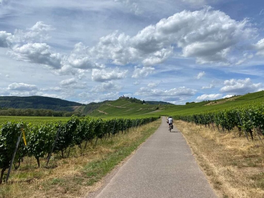 Cycling through vineyards on a bike and barge tour in Germany