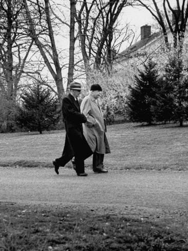 Mathematicians Albert Einstein and Kurt Godel Taking a Walk' Premium  Photographic Print | Art.com | Bilim, Fizik, Galaksiler