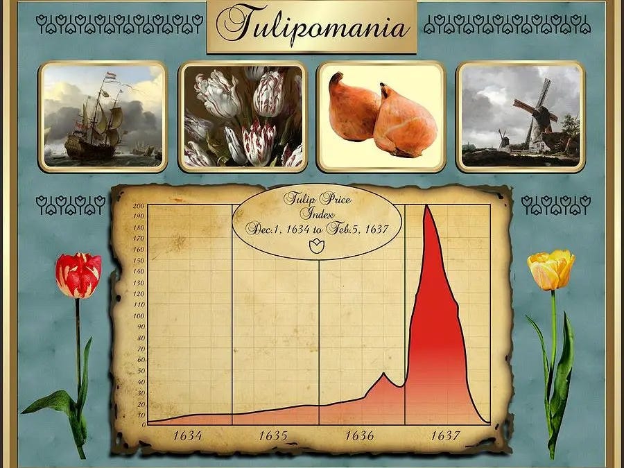 Tout savoir sur la Crise de la Tulipe de 1637 - ALTI TRADING