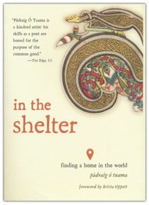 In the Shelter: Finding a Home in the World  -     By: Padraig O Tuama
