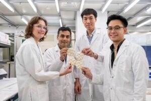 NTU scientists, in collaboration with local ecology and biomimicry design firm bioSEA, have developed ‘fungi tiles’ that could help cool buildings down without consuming energy.