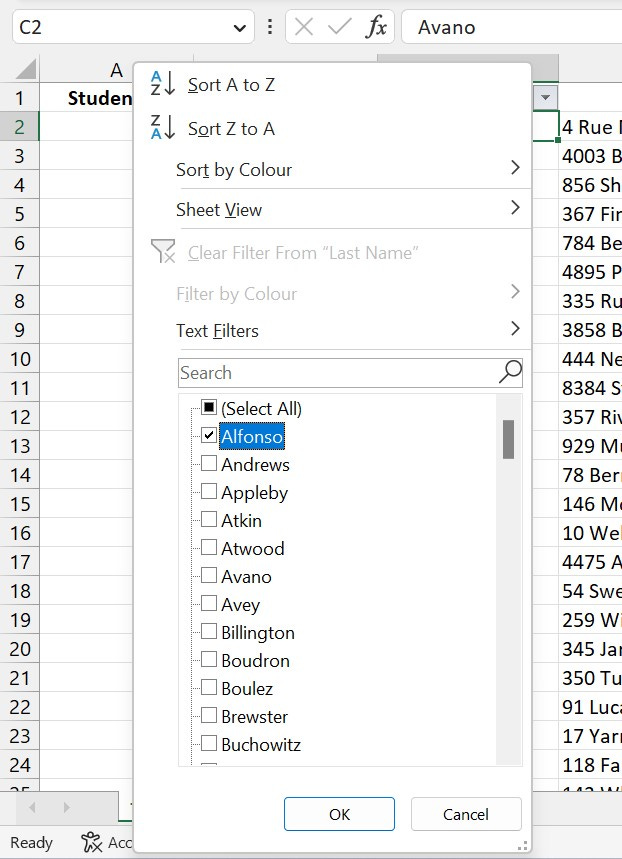 Filtering a column of text in Excel