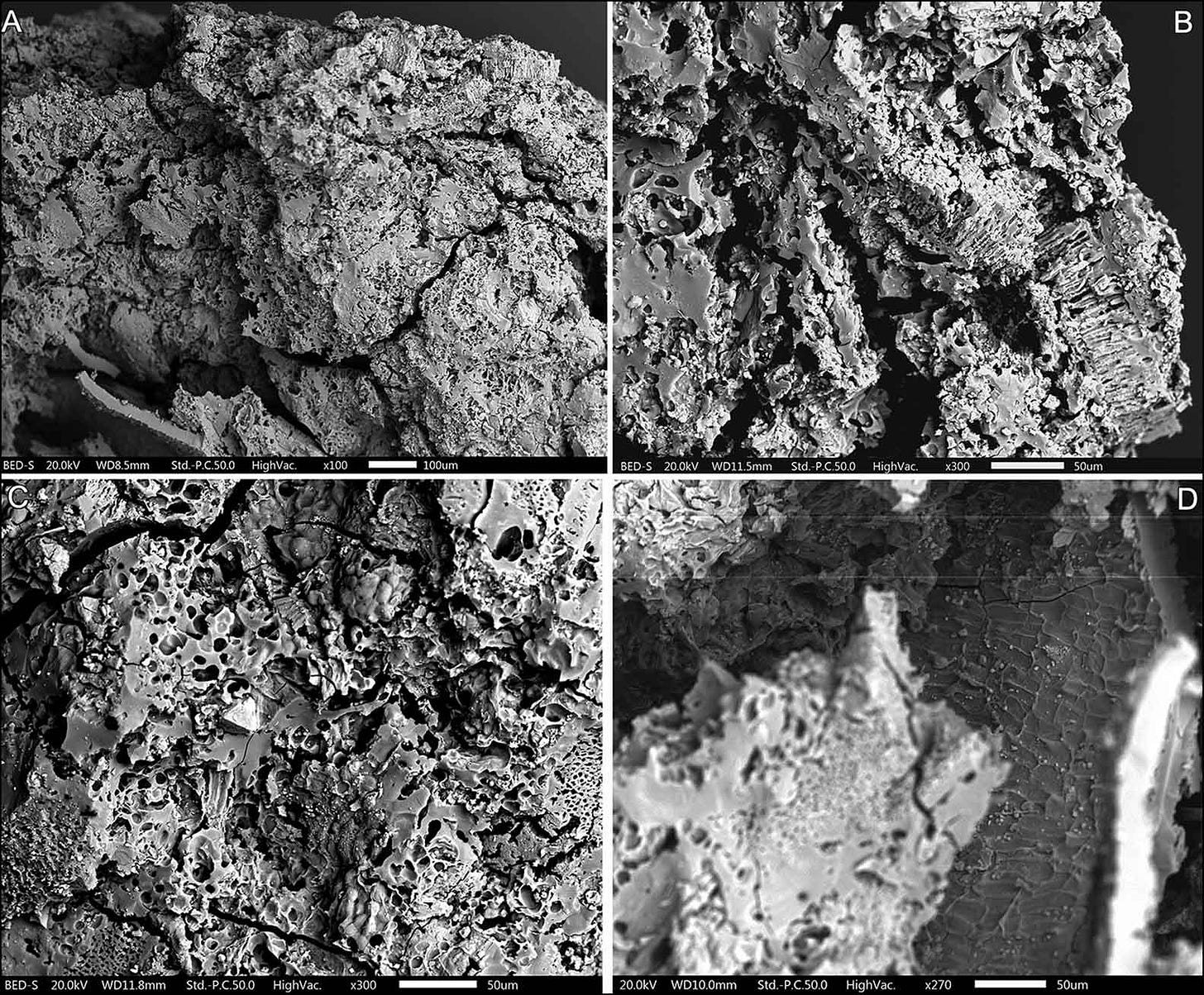 Four panels showing micrographs of chunky food stuff Four panels showing micrographs of chunky food stuff