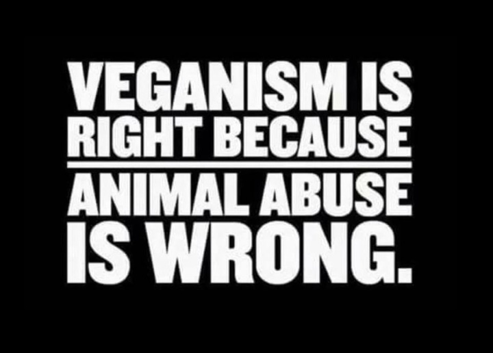 Simple, undeniable truth. If you’re against animal abuse, then supporting industries that exploit, harm, and kill animals makes no sense. Veganism isn’t extreme—choosing to harm when you don’t have to is. Do better for the animals. 🌱