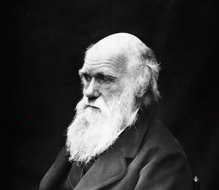 Charles Darwin: a origem