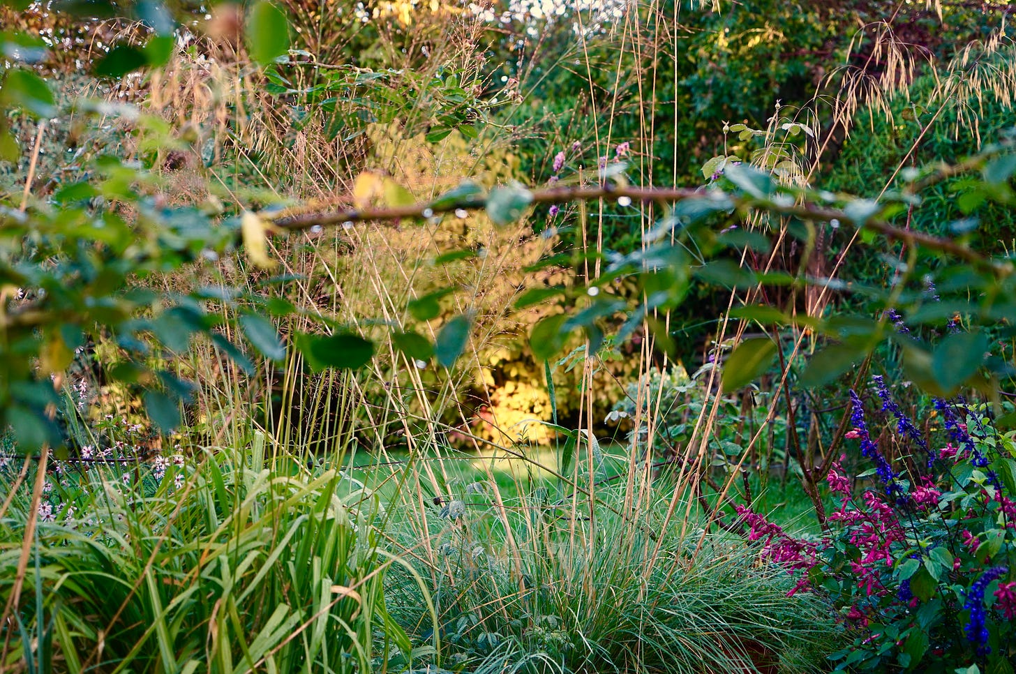 a pretty cottage garden in autumn