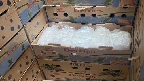 Mexican berries? -Nope! Just a warehouse packed to the rafters with Cartel Crystal Meth! Mexican berries? -Nope! Just a warehouse packed to the rafters with Cartel Crystal Meth!