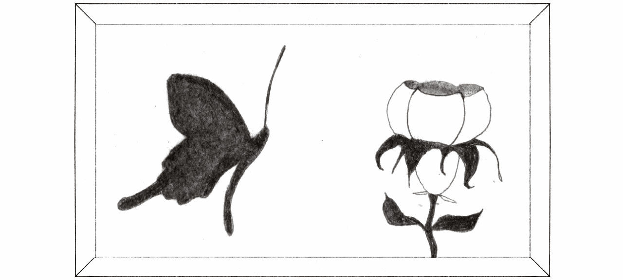 Pencil sketch of a butterfly and a blooming rose placed side by side in a rectangular border, symbolizing transformation and love.