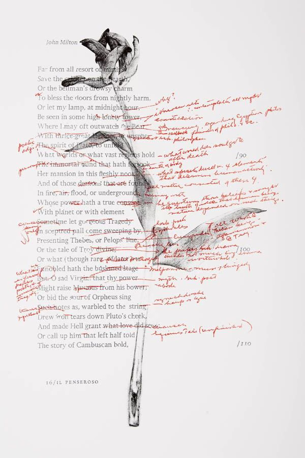 a typed John Milton poem with an image of a drying tulip printed upon it and scrawled red handwriting