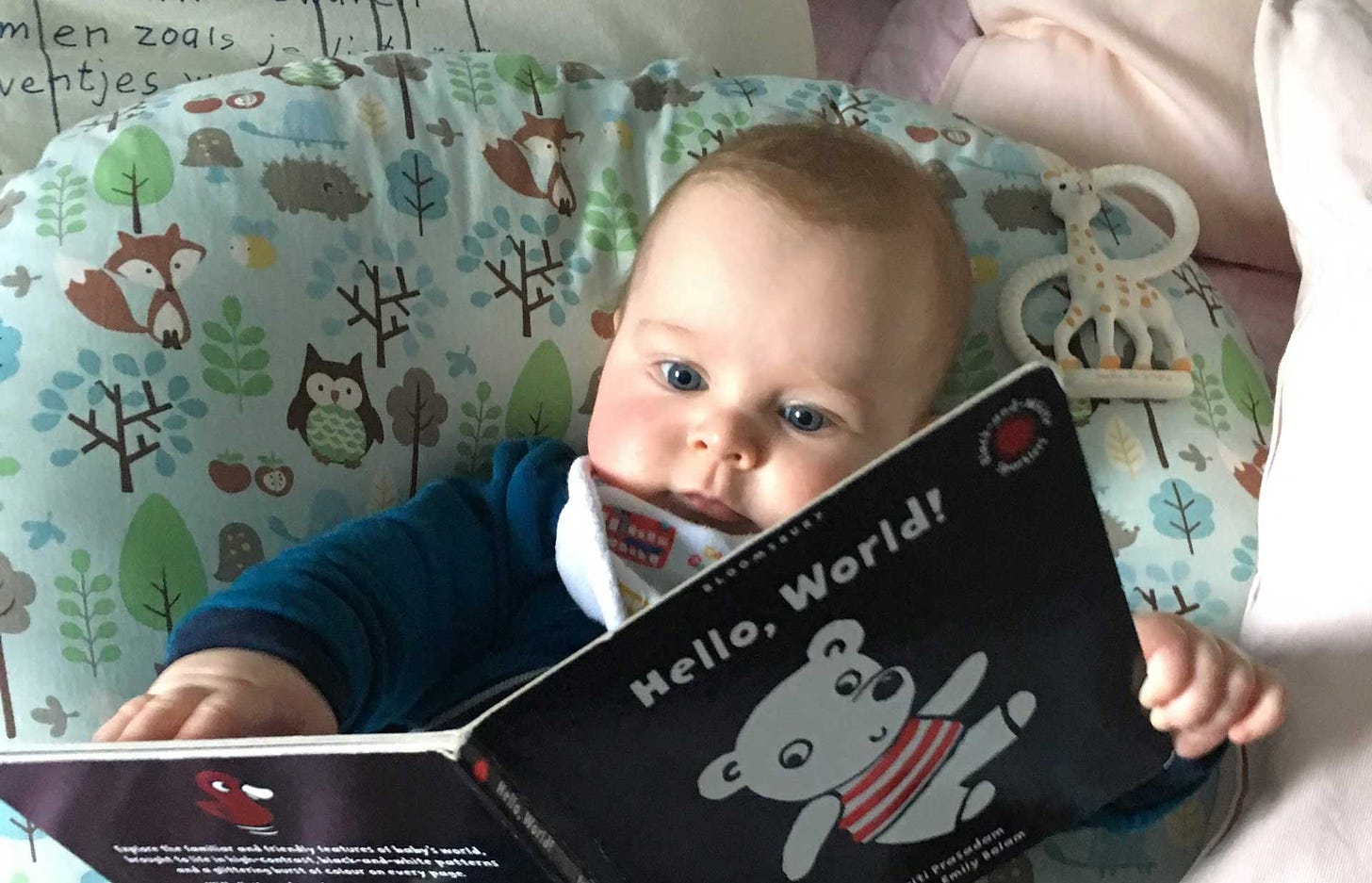 A baby looks at a baby book