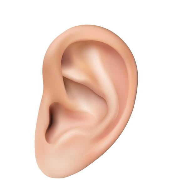 realistic vector icon illustration Human ear isolated on white background