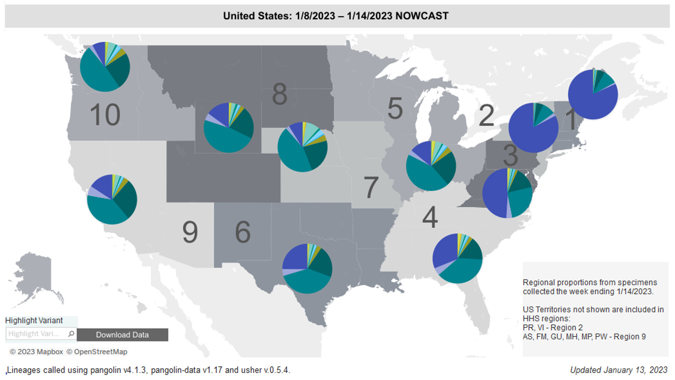 Regional difference map of the US with 10 regions each with roughly 3 or 4 states depicted as shades of gray. Title reads “United States: 1/8/2023 - 1/14/2023 Nowcast.” Each region has a colored pie chart showing variant proportions. Legend at bottom right reads “Regional proportions from specimens collected the week ending 1/7/2023” and “US Territories not shown are included in HHS regions: PR, VI - Region 2. AS, FM, GU, MH, MP, PW - Region 9.” XBB1.5 (dark purple) makes up over three-quarters of the pie in regions 1 and 2 (Northeast), about half in region 3 (Mid-Atlantic) and smaller slivers elsewhere. BQ1.1 (teal) and BQ1 (dark teal) are the most common in the rest of the country, i.e. regions 4 through 10. Bottom text reads: “Updated January 13, 2023” and  “Lineages called using pangolin v4.1.3, pangolin-data v1.17 and user v.0.5.4.”