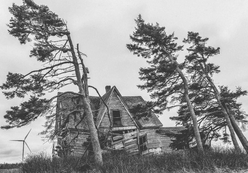 Bent pine trees and a dilapidated house representing what can happen to us when we lower our vibration
