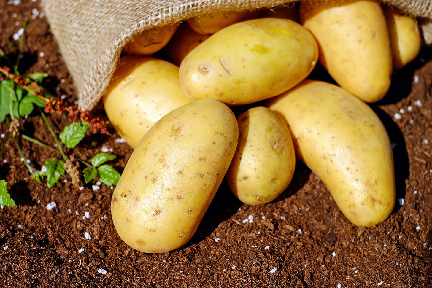 A photograph of a bag of potatoes.