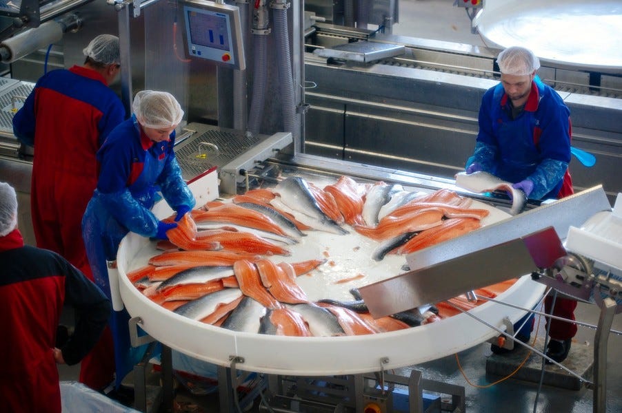 https://www.bloomberg.com/news/articles/2014-08-22/norway-salmon-farms-can-delay-slaughter-after-russian-sanctions