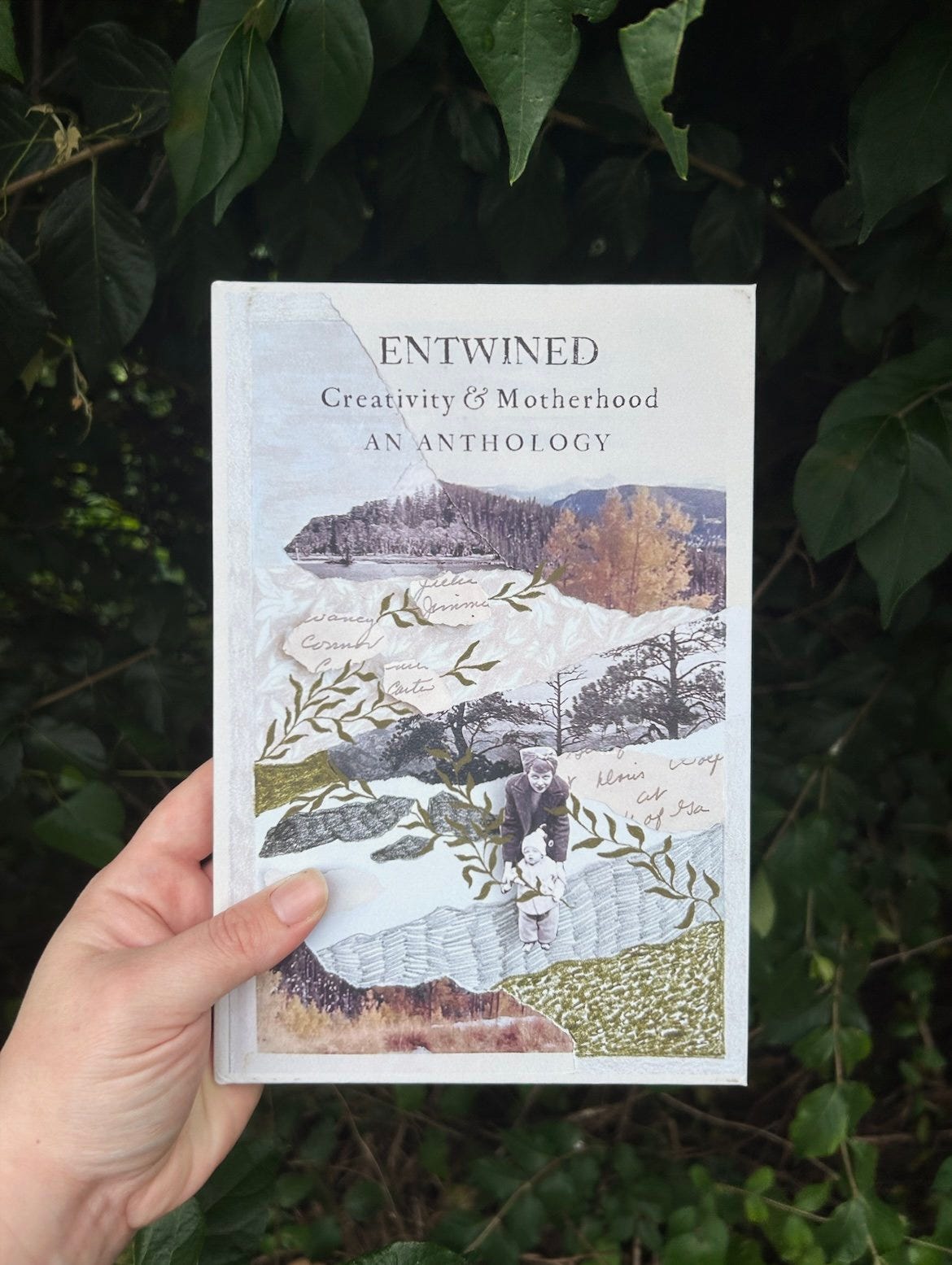 A white hand holds a copy of the Entwined anthology, against a backdrop of green leaves