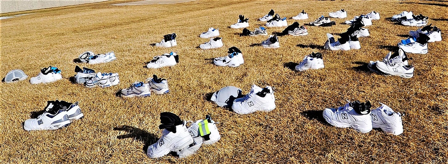 Trainers in a field