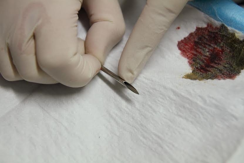 Needle
