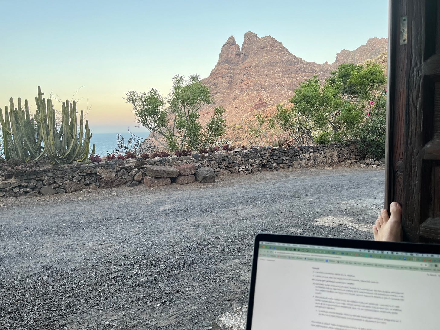 Working from the beach house with a view of the ocean. 