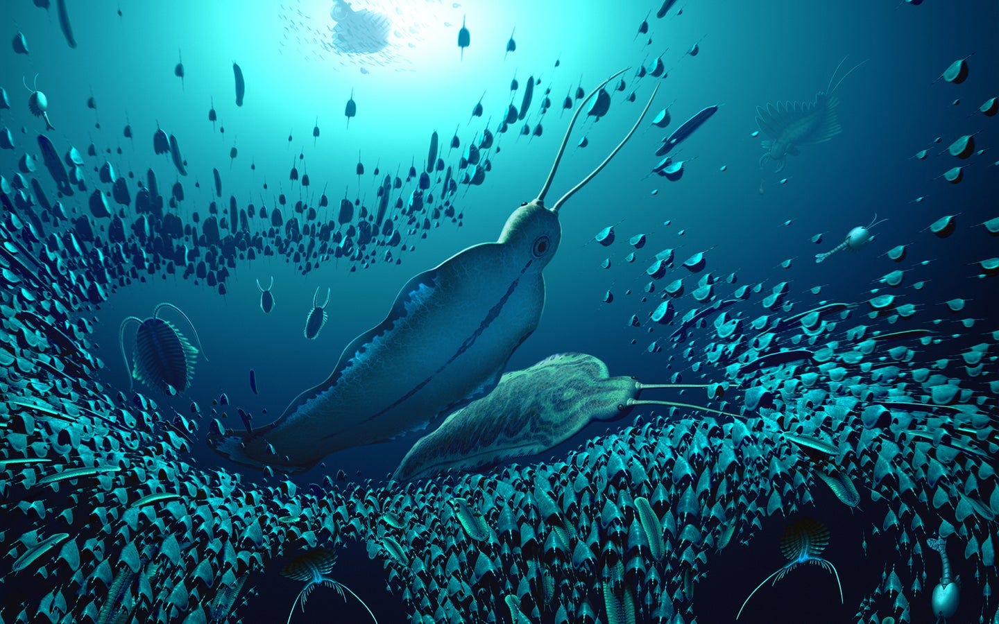 An illustration of the pelagic ecosystem and the organisms fossilized in Sirius Passet, revealing how Timorebestia was one of the largest predators in the water column more than 518 million years ago.