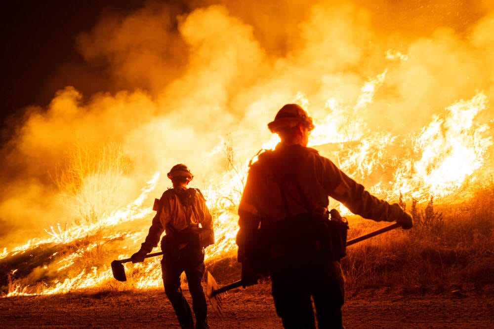 Firefighters work as the Hughes Fire burns on Jan. 22, 2025 in Castaic, California. (Brandon Bell/Getty Images)