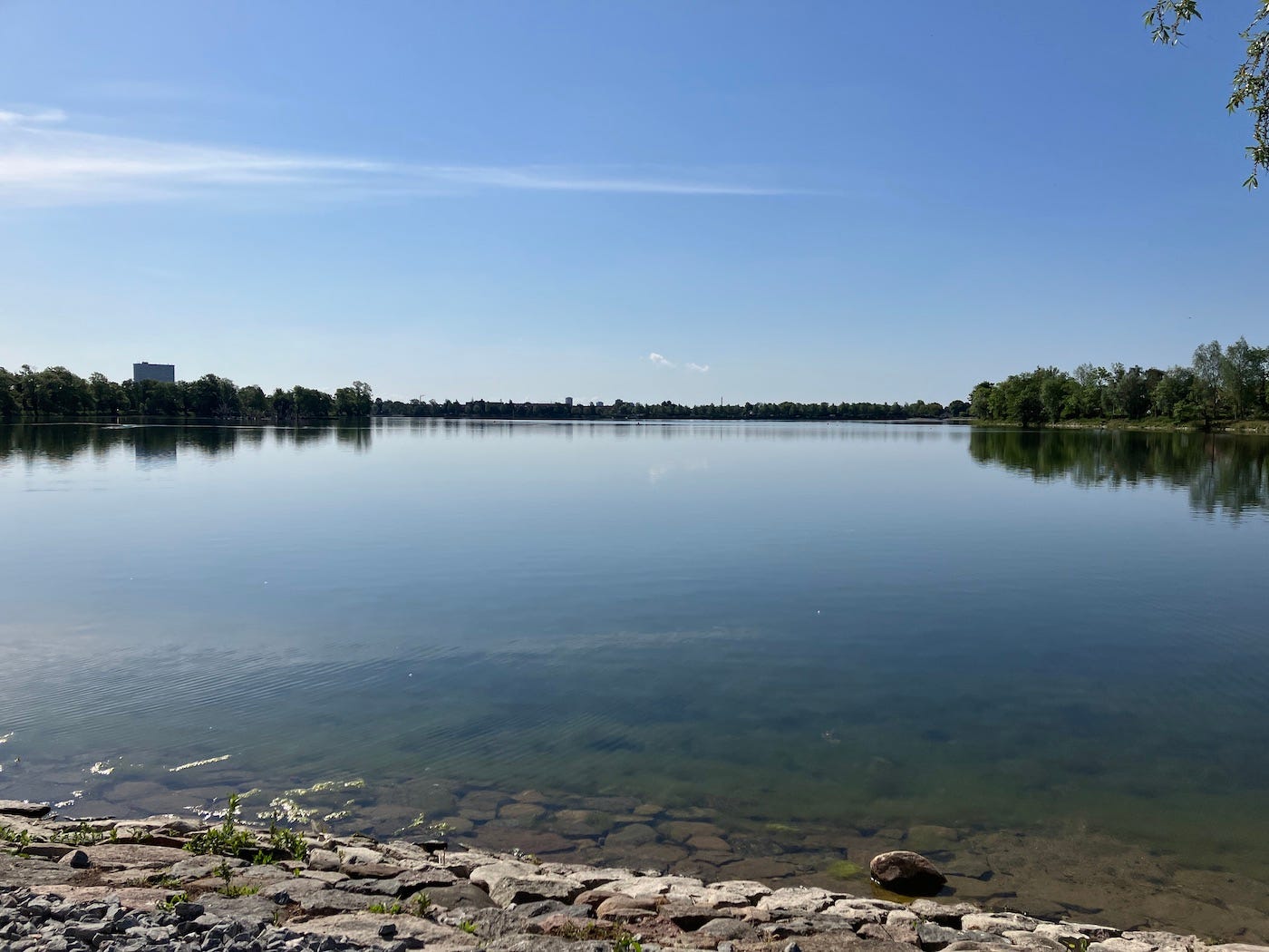 The lake seen from the shore.
