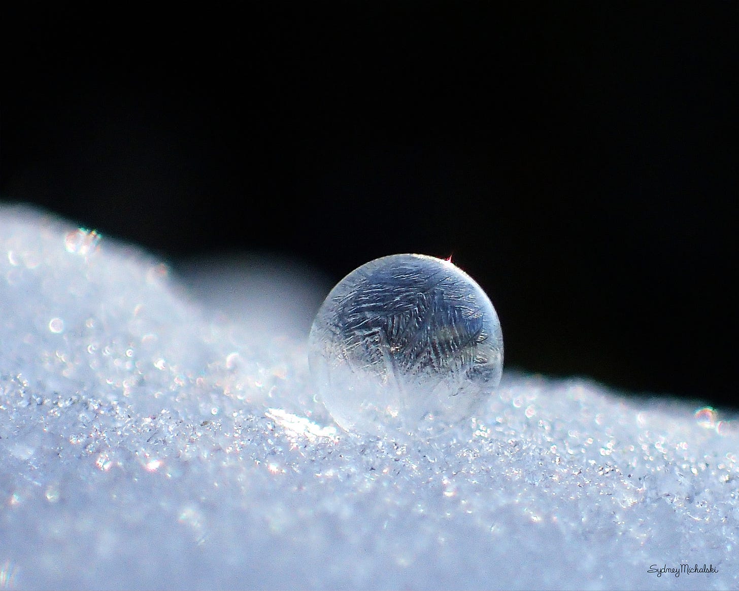 A single frozen sunlit bubble rests on a bank of snow.