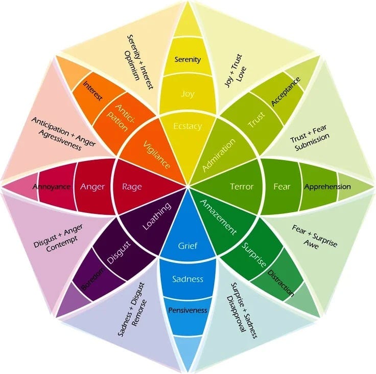 Emotion Wheel: What it is and How to Use it to Get to Know Yourself