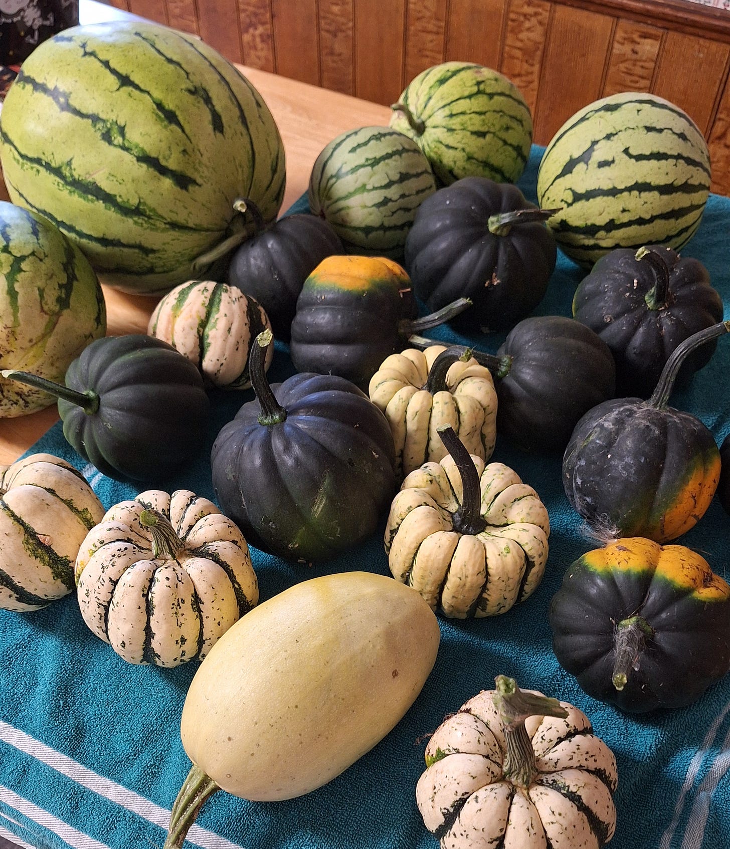 harvest season mabon