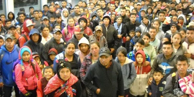 Border Patrol apprehends 'largest group' of illegal immigrants near US ...