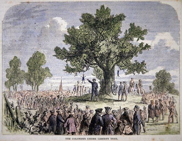 Liberty Tree - Alchetron, The Free Social Encyclopedia