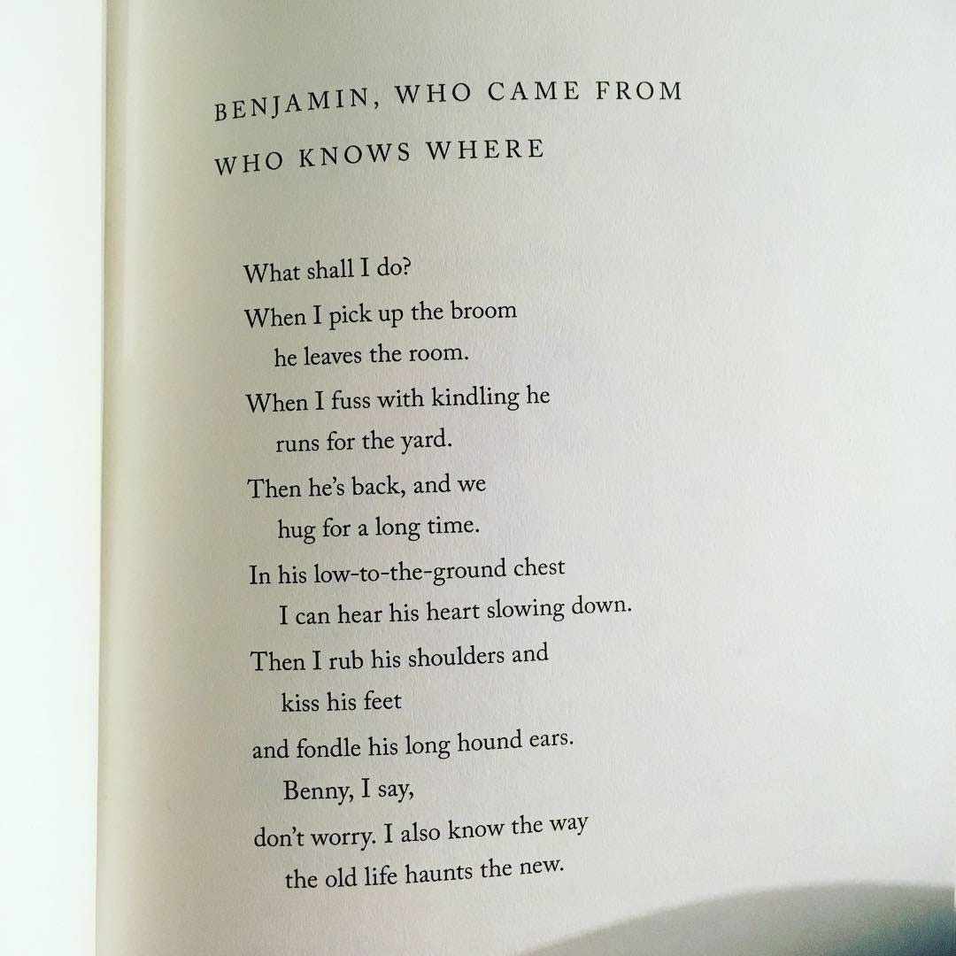 Benjamin, Who Came From Who Knows Where  What shall I do? When I pick up the broom      he leaves the room. When I fuss with kindling he      runs for the yard. Then he’s back, and we      hug for a long time. In his low-to-the-ground chest      I can hear his heart slowing down. Then I rub his shoulders and      kiss his feet and fondle his long hound ears.      Benny, I say, don’t worry. I also know the way      the old life haunts the new.