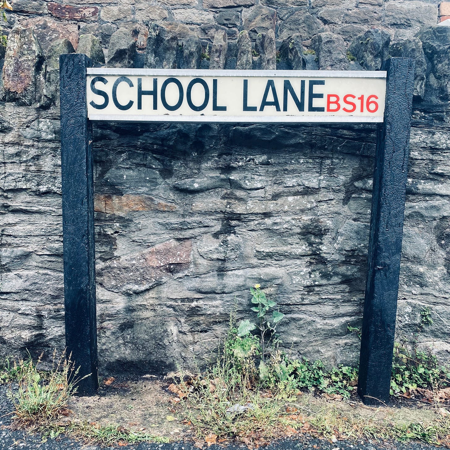 photograph from my morning run, in a rain storm, of a street sign in Bristol, BS16: 'school lane' in caps on a white background, set against an old stone wall with weeds and dandelions around the cracks in the pavement/sidewalk. 