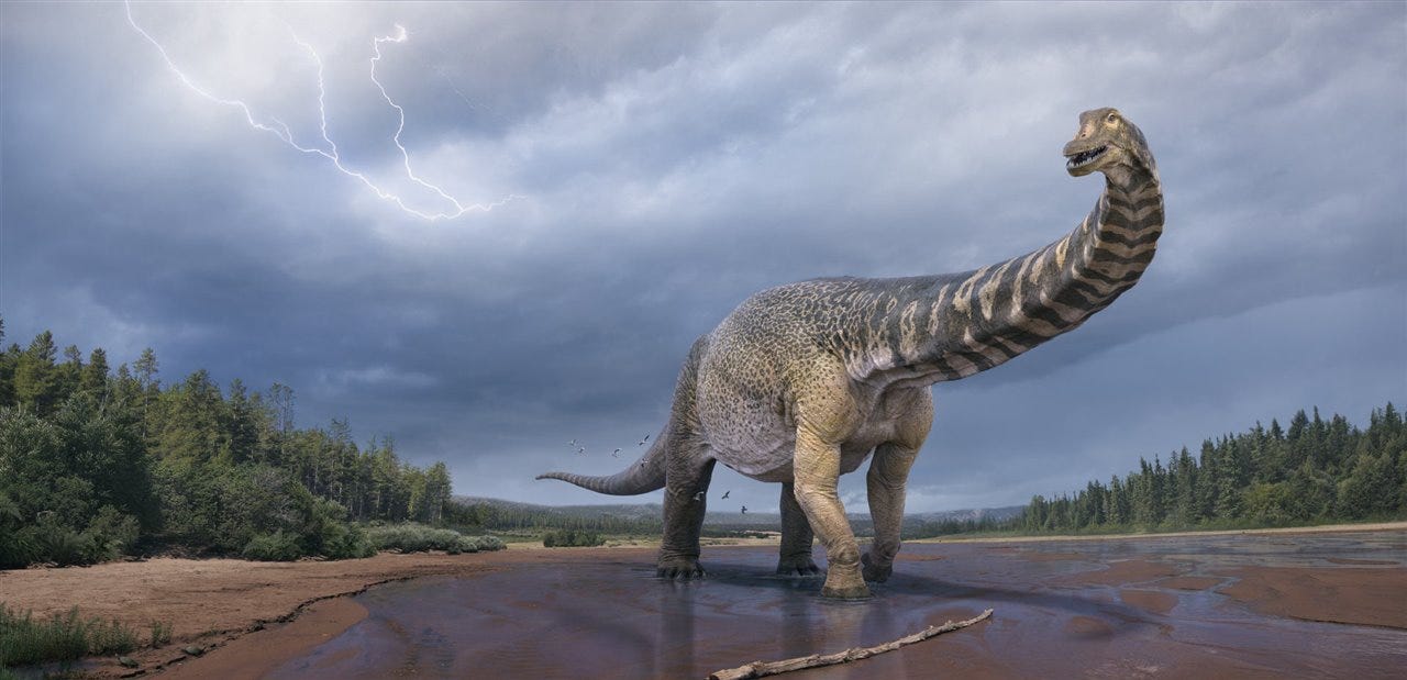 Ilustración de la especie de dinosaurio más grande descubierta en Australia