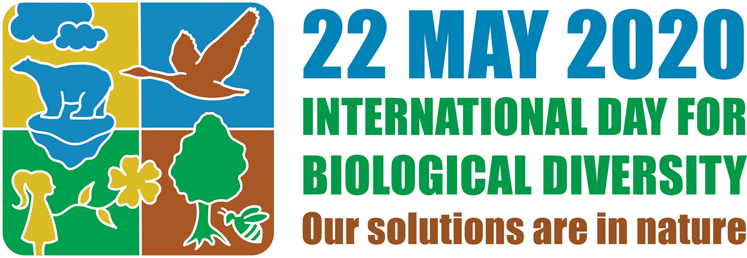 International Day for Biological Diversity - Bell Museum