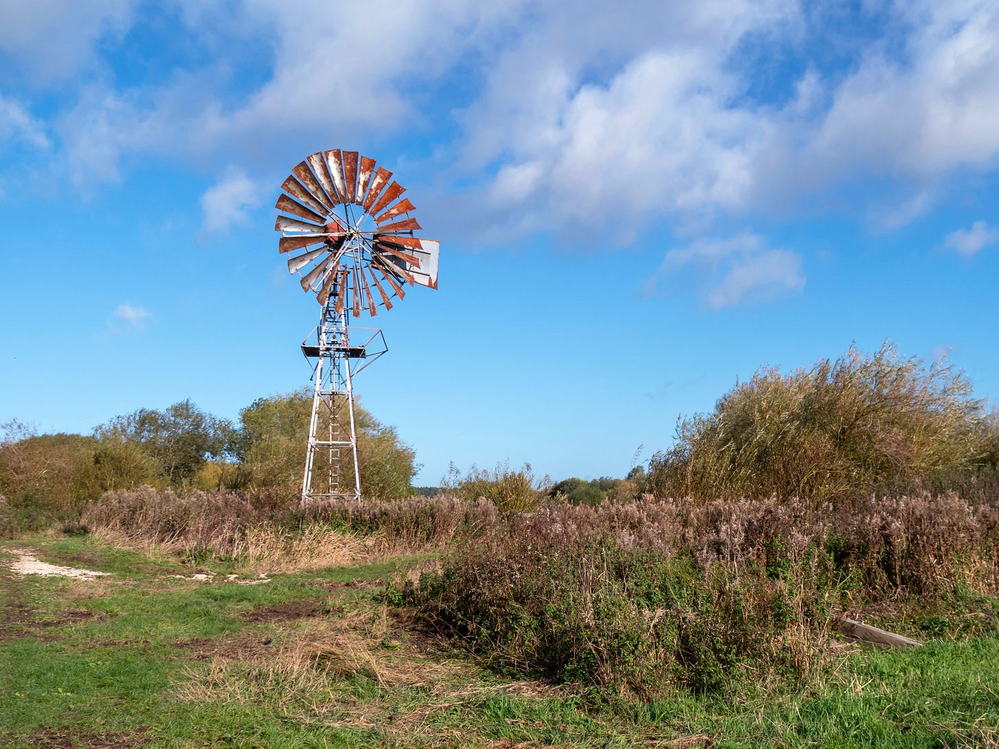 A rusty old wind pump on a nature reserve with mixed winter vegetation.  There is a vivid blue sky with white clouds.