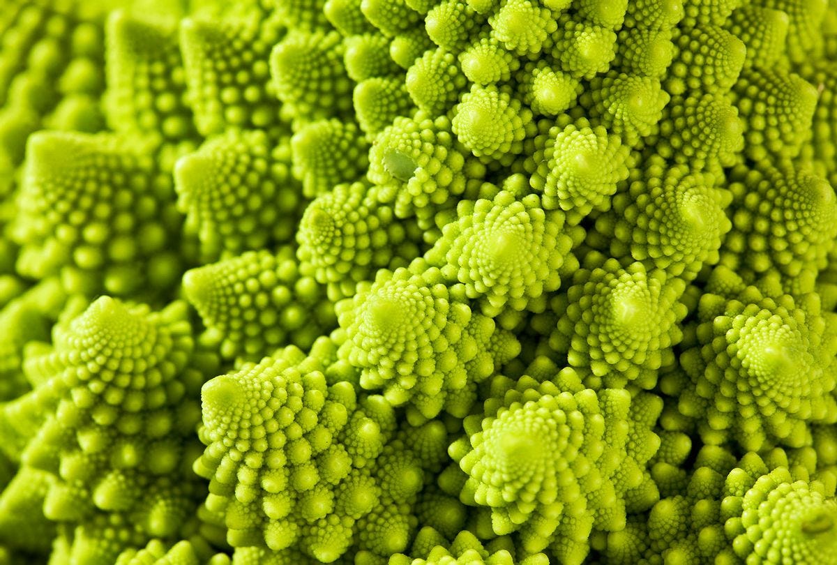 What makes Romanesco broccoli so mathematically perfect? | Salon.com What makes Romanesco broccoli so mathematically perfect? | Salon.com