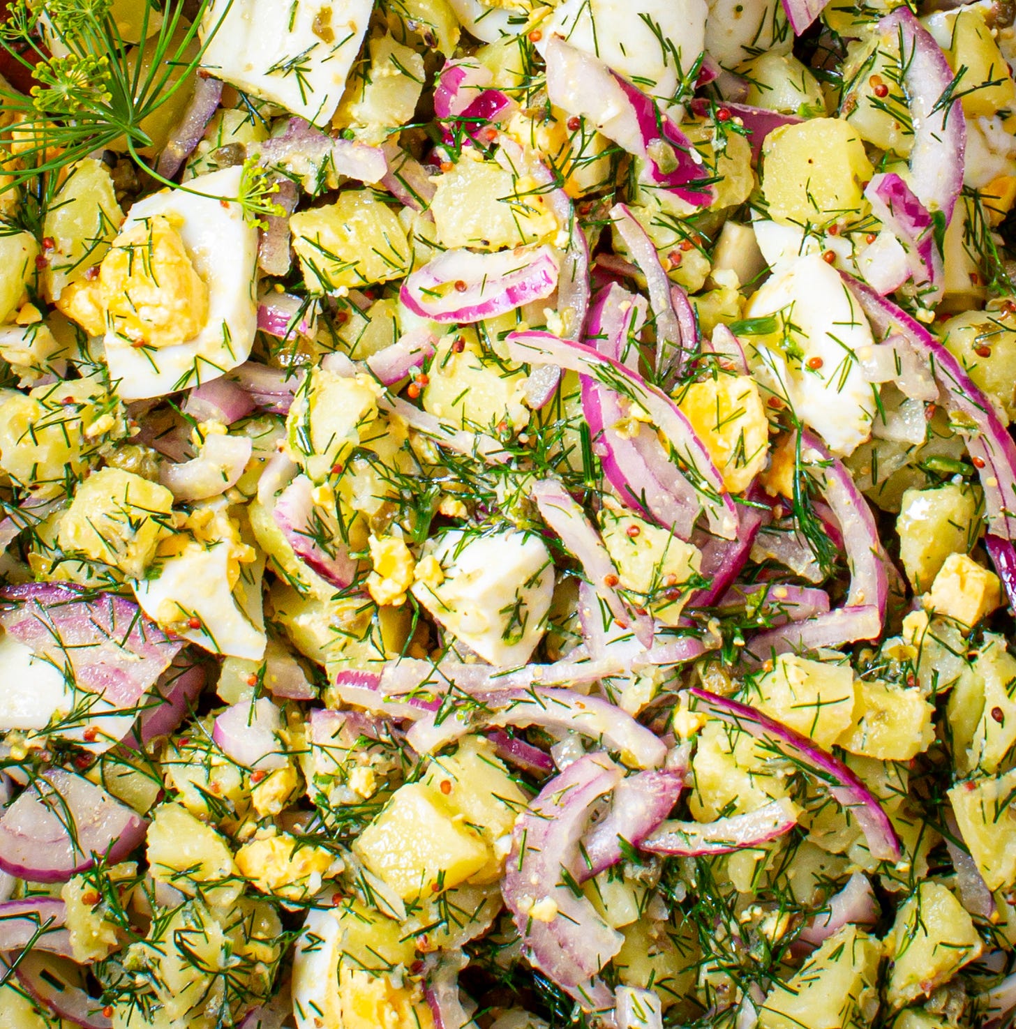 Potato, Red Onion & Egg Salad with Dill Vinaigrette
