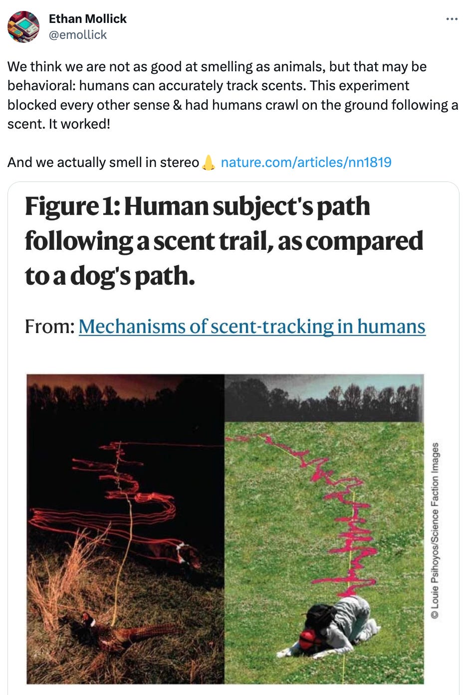  See new posts Conversation Ethan Mollick @emollick We think we are not as good at smelling as animals, but that may be behavioral: humans can accurately track scents. This experiment blocked every other sense & had humans crawl on the ground following a scent. It worked!  And we actually smell in stereo👃 https://nature.com/articles/nn1819