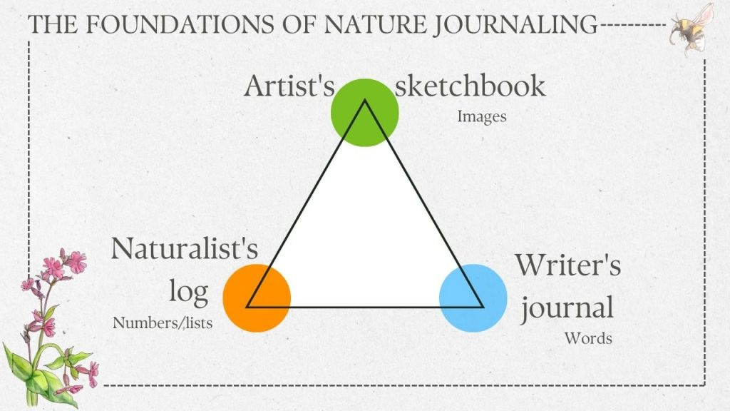 Three foundations of nature journaling: artist sketchbook, naturalist log, writer's journal