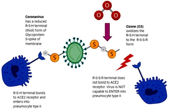 Recent case studies on the use of ozone to combat coronavirus: Problems and  perspectives - ScienceDirect