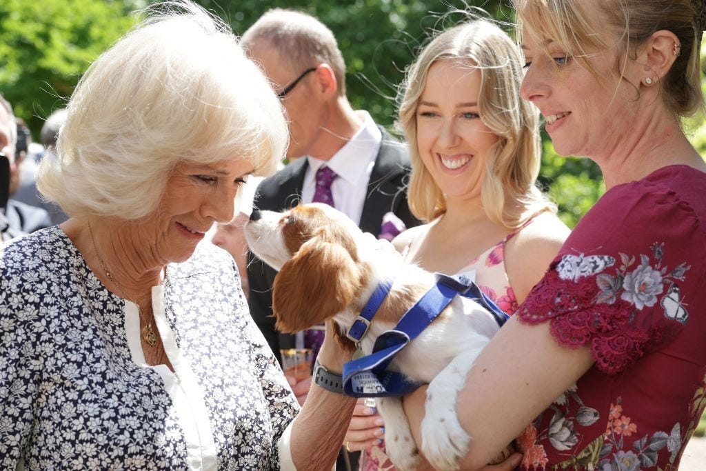 smiling Queen Camilla strokes dog