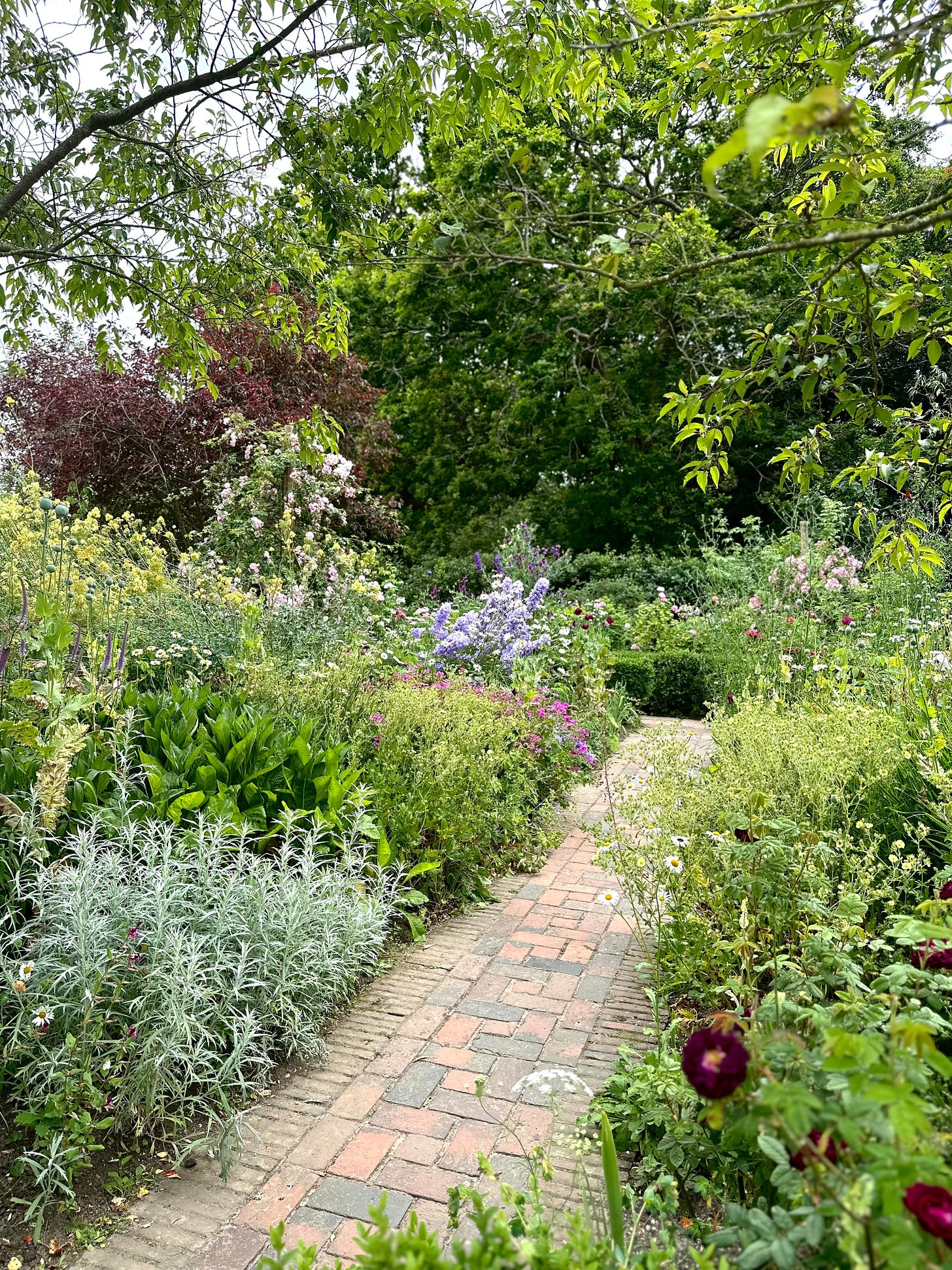 an English country garden