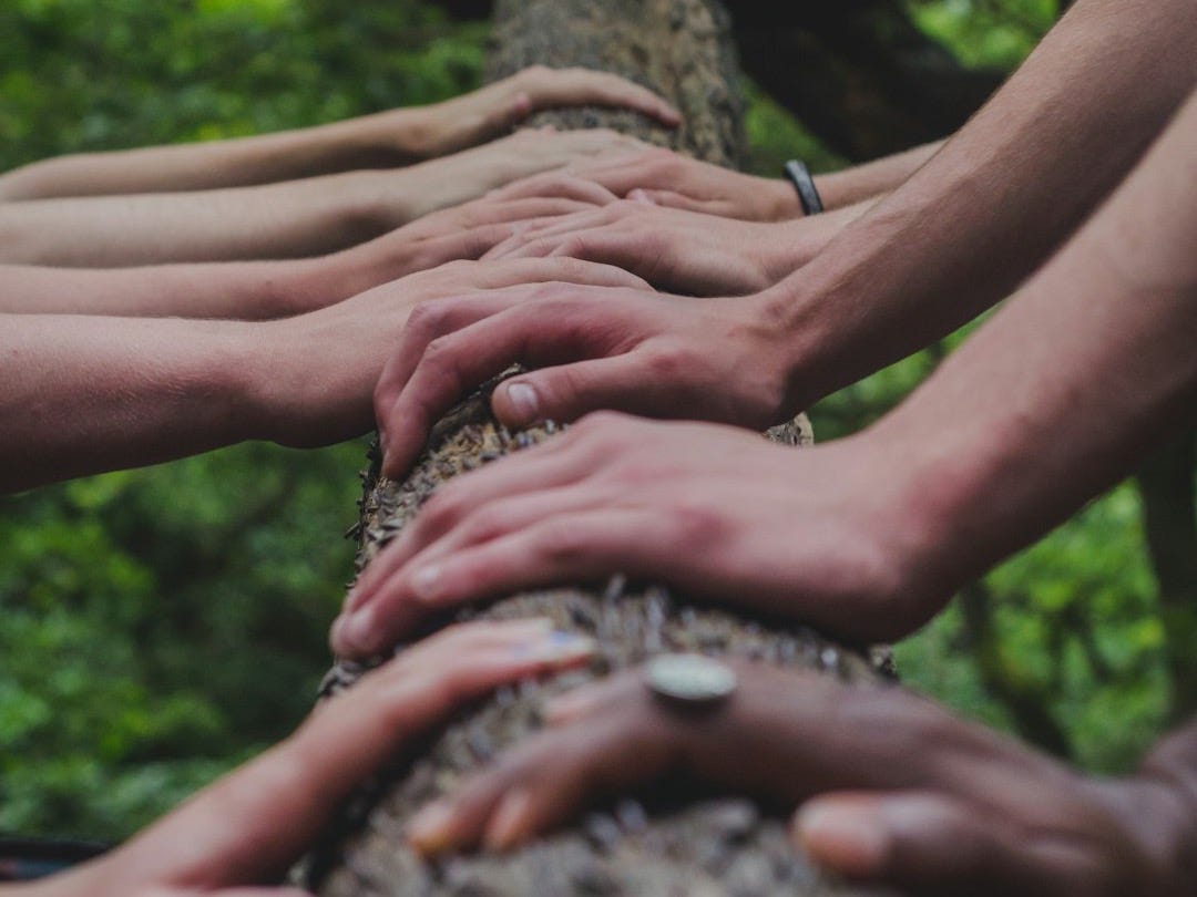 a group of people holding hands on top of a tree