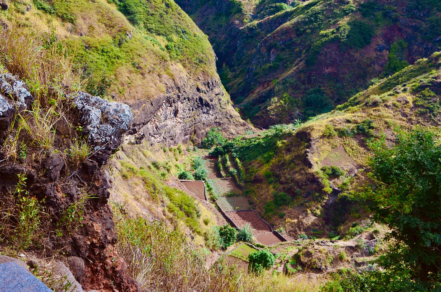 A view of terraced fields nestled between steep, rocky hillsides on the island of Santiago, Cape Verde. The lush green vegetation contrasts with the dry, rugged terrain, illustrating a striking balance of nature’s resilience and human ingenuity. A view of terraced fields nestled between steep, rocky hillsides on the island of Santiago, Cape Verde. The lush green vegetation contrasts with the dry, rugged terrain, illustrating a striking balance of nature’s resilience and human ingenuity.